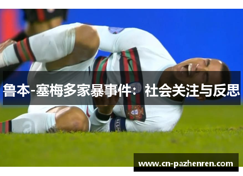 鲁本-塞梅多家暴事件:社会关注与反思