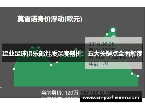建业足球俱乐部性质深度剖析：五大关键点全面解读