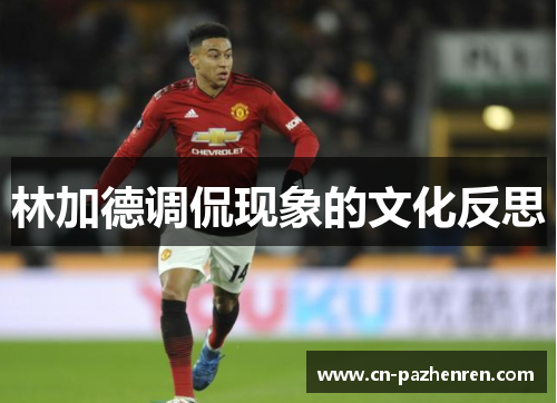 林加德调侃现象的文化反思 林加德调侃现象的文化反思