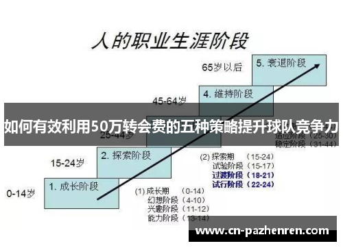 如何有效利用50万转会费的五种策略提升球队竞争力